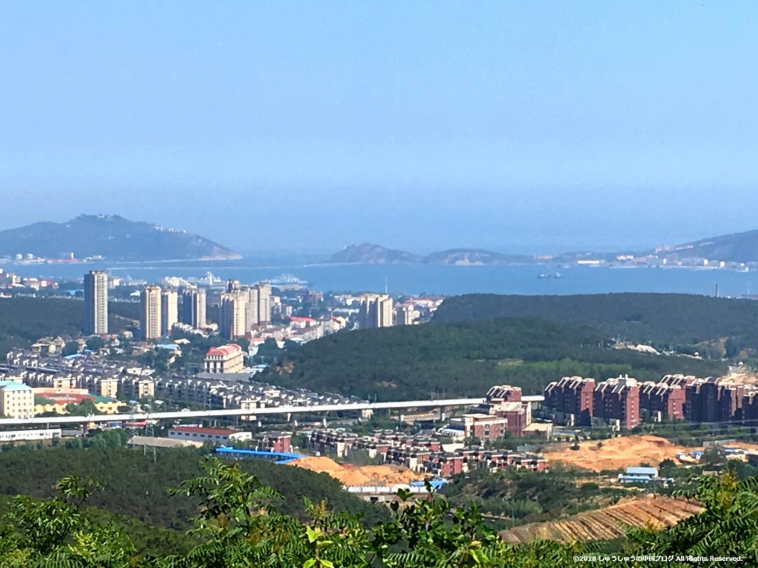 旅順203高地からの旅順港の拡大写真