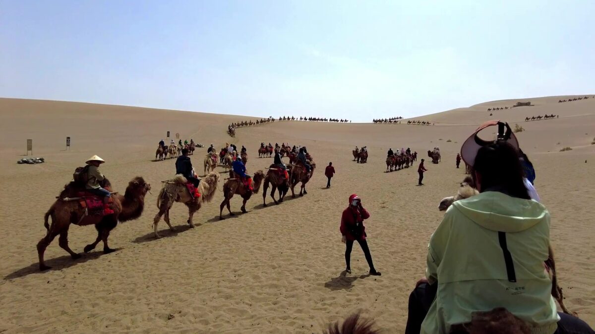月牙泉のラクダ乗り