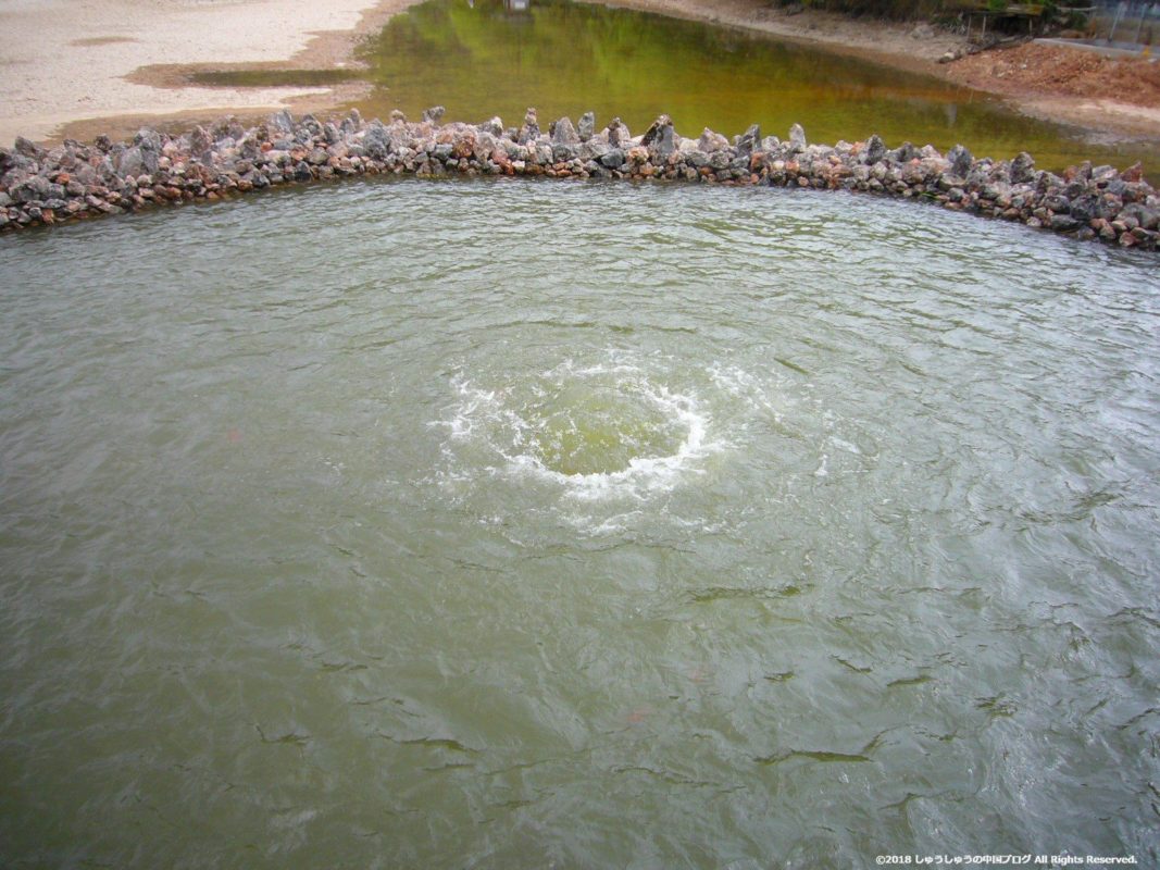 麗江の黒龍譚の泉