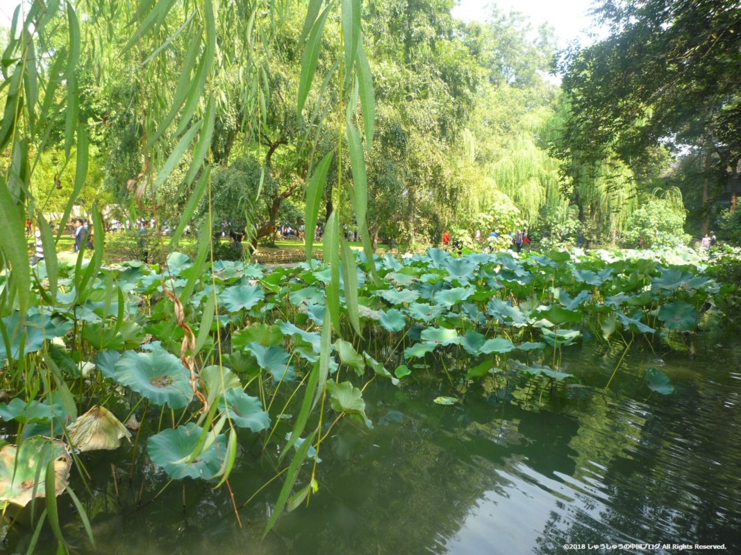 蘇州の拙政園の池