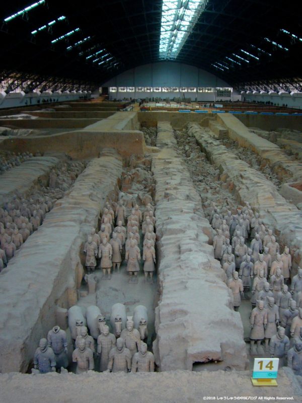 秦始皇兵馬俑博物館１号坑の縦の写真
